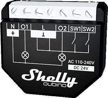 Shelly Wave 2PM