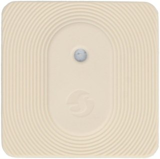 Shelly Blu H&T Ivory ZB