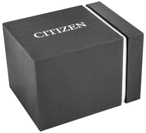 Zegarek Męski Citizen NJ0210-56A