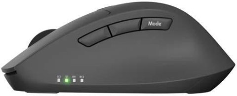 Mysz Natec Kite 4000DPI czarny