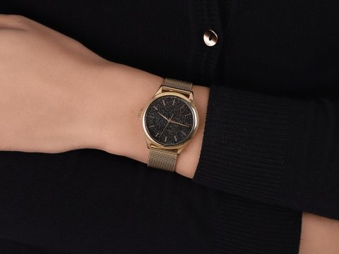 Zegarek Damski Timex TW2V01300