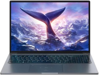 Laptop Blackview GamiBook-8 Ryzen 7 7735HS/16" WUXGA (1920x1200)/16GB/512GB/BT/BLKB/Win11Pro szary