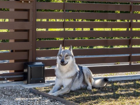 Zestaw Beninca KWOLF424.P2 24V do 450kg bram przesuwnych