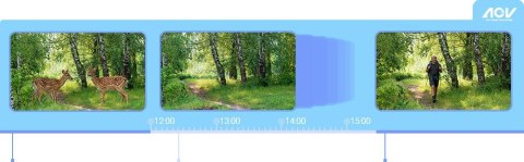 Kamera IP Ezviz EB8 Pro 4G 4K Kit 8MP z panelem słonecznym 8W 4G Wi-Fi